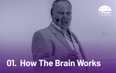 How does the brain work?